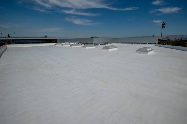 Best Gutter Installation and Repair  in Catawba, SC